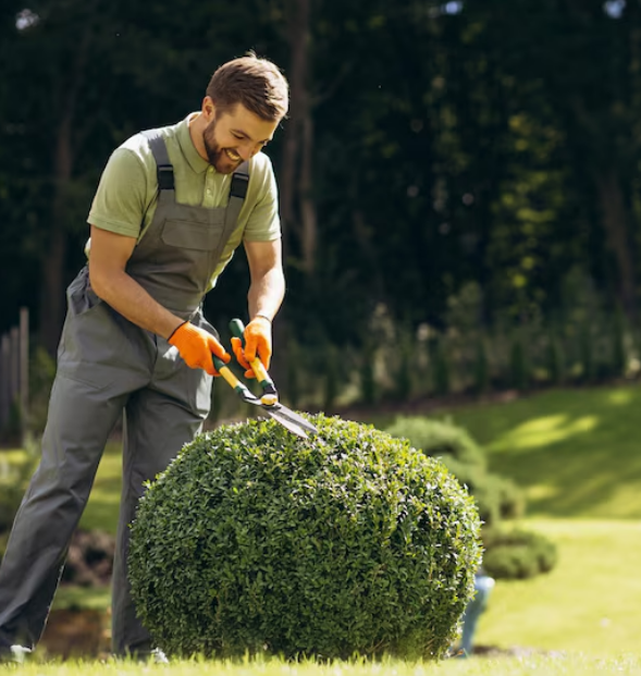 Garden services 1