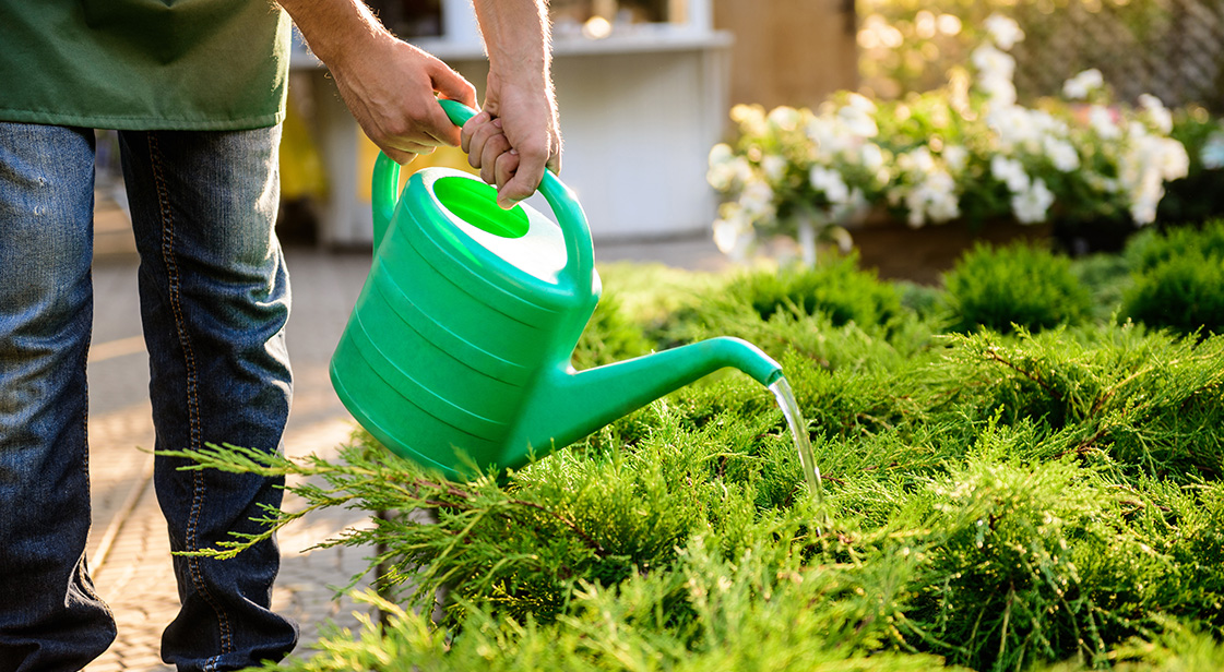 Garden services blog garden maintenance img1